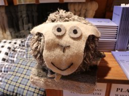 Półkolonie letnie 2025